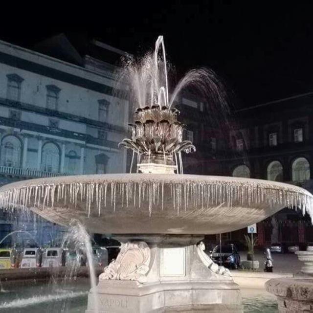 Immagine non disponibile