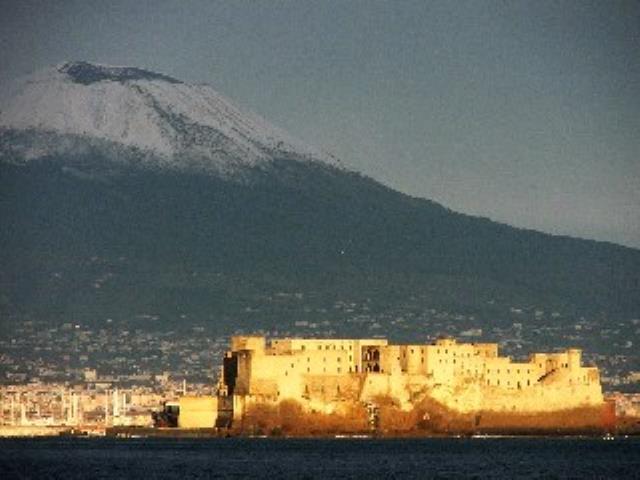 Immagine non disponibile