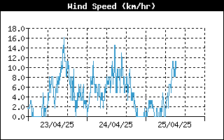 Grafico del vento