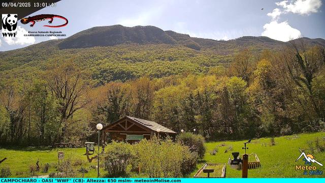 Capracotta (IS) live Webcam - Ultima immagine ripresa