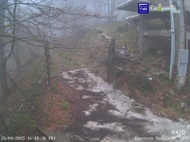 Partenio (AV) - Faggeta mt. 1500 live Webcam - Ultima immagine ripresa