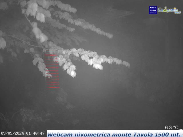 Monte Partenio (AV) - Asta nivometrica Monte Tavola mt.1480 live Webcam - Ultima immagine ripresa