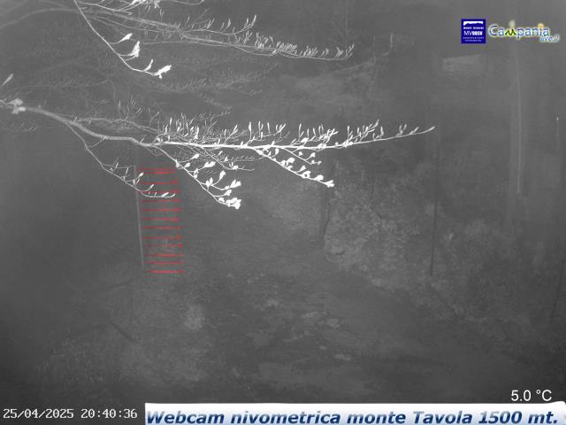 Monte Partenio (AV) - Asta nivometrica Monte Tavola mt.1480 live Webcam - Ultima immagine ripresa