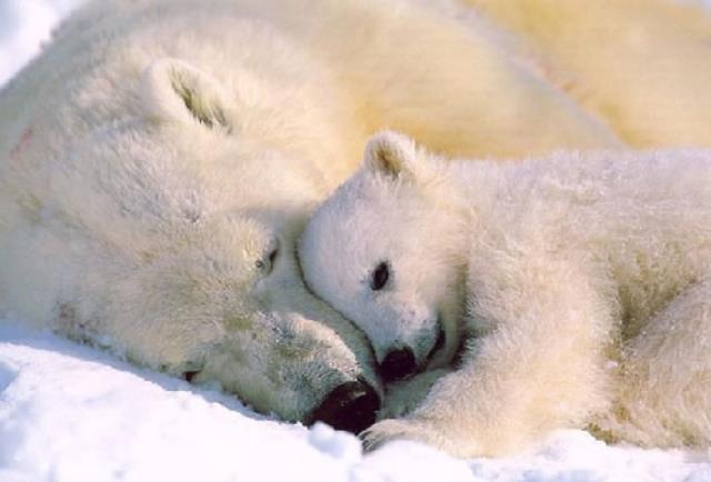 Il lavoro di tecnico di una stazione meteo a volte è molto pericoloso. Immagine non disponibile