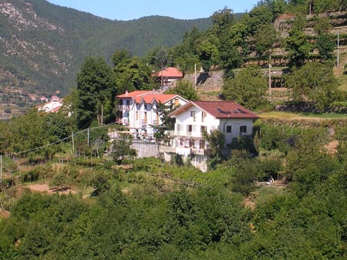 Immagini agriturismo Il Castagno Immagini agriturismo Il Castagno