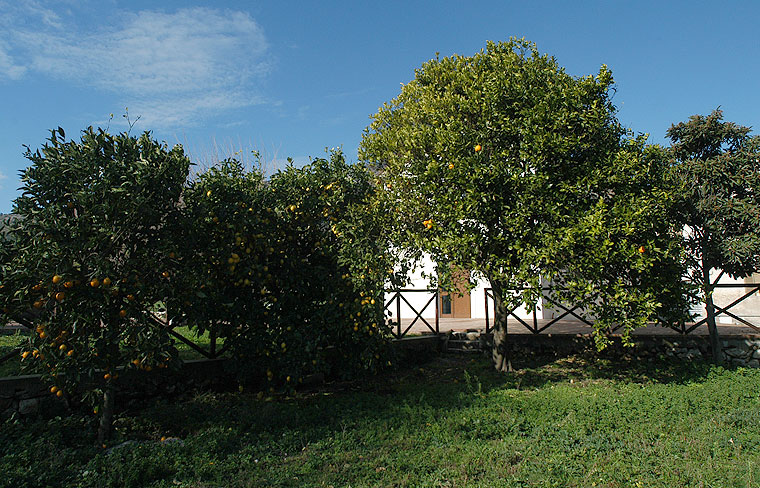 Immagini agriturismo Le Ghiandaie