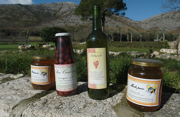 Immagini agriturismo Le Ghiandaie
